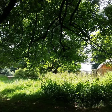 Rock Farm - Glamping Luxury tent *