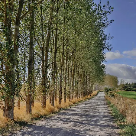 Rock Farm - Glamping