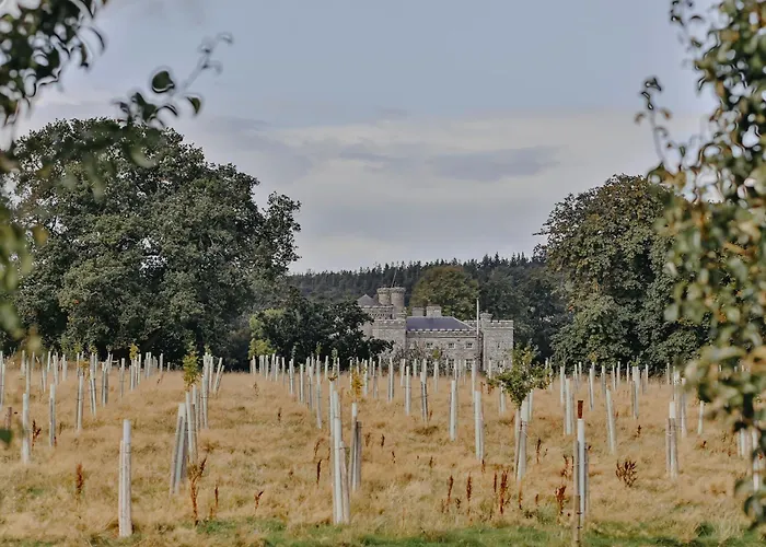 Rock Farm - Glamping Luxe tent Slane