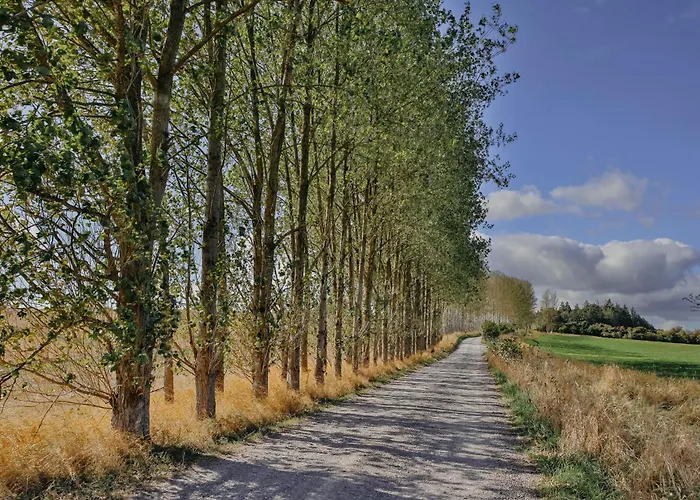 Rock Farm - Glamping